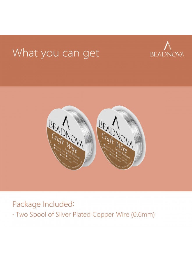 BEADNOVA 22 Gauge Wire for Jewelry Making Tarnish Resistant Copper Wire for Crafts (Silver Plated) - Image 2