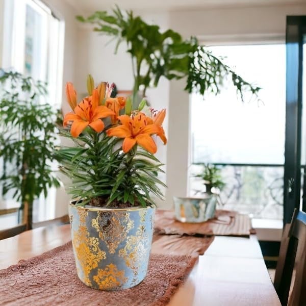 Fox & Fern Premium Imported Ceramic Planter for Vibrant Garden | Enhance The Ambiance of Your Home, Office or Garden (Dia. 5Inch) (GA133B-096-GG) - Image 4
