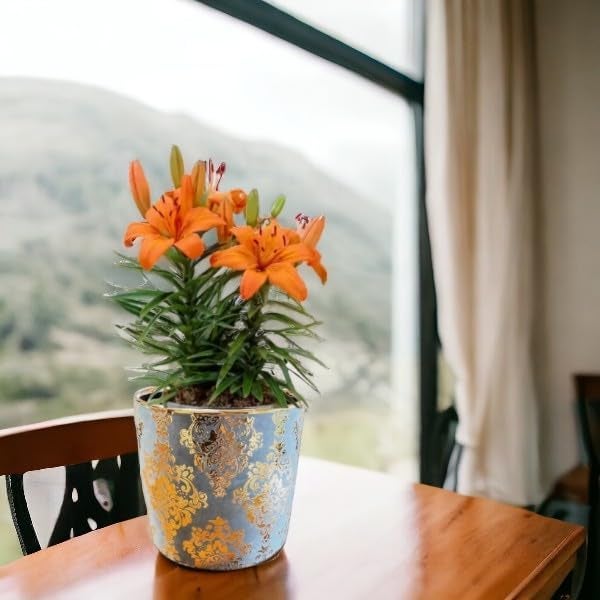 Fox & Fern Premium Imported Ceramic Planter for Vibrant Garden | Enhance The Ambiance of Your Home, Office or Garden (Dia. 5Inch) (GA133B-096-GG) - Image 5