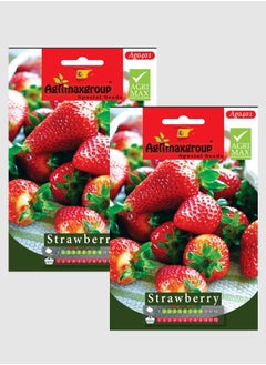 Strawberry seeds Premium Quality Seeds by Agrimax group Seeds 2pcs - pzsku/Z8EEB35C921138AFC1C51Z/45/_/1705324948/e58afecd-1cb9-446a-8e32-ce521a28aee4