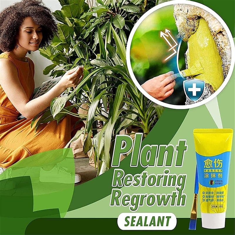 ويوبلز مادة مانعة للتسرب لإعادة نمو النباتات، مادة مانعة للتسرب لجروح الأشجار، معجون لجروح أشجار البونساي، معجون قطع جروح أشجار البونساي، مادة مانعة للتسرب للتقليم مع فرشاة (قطعة واحدة) - Image 3