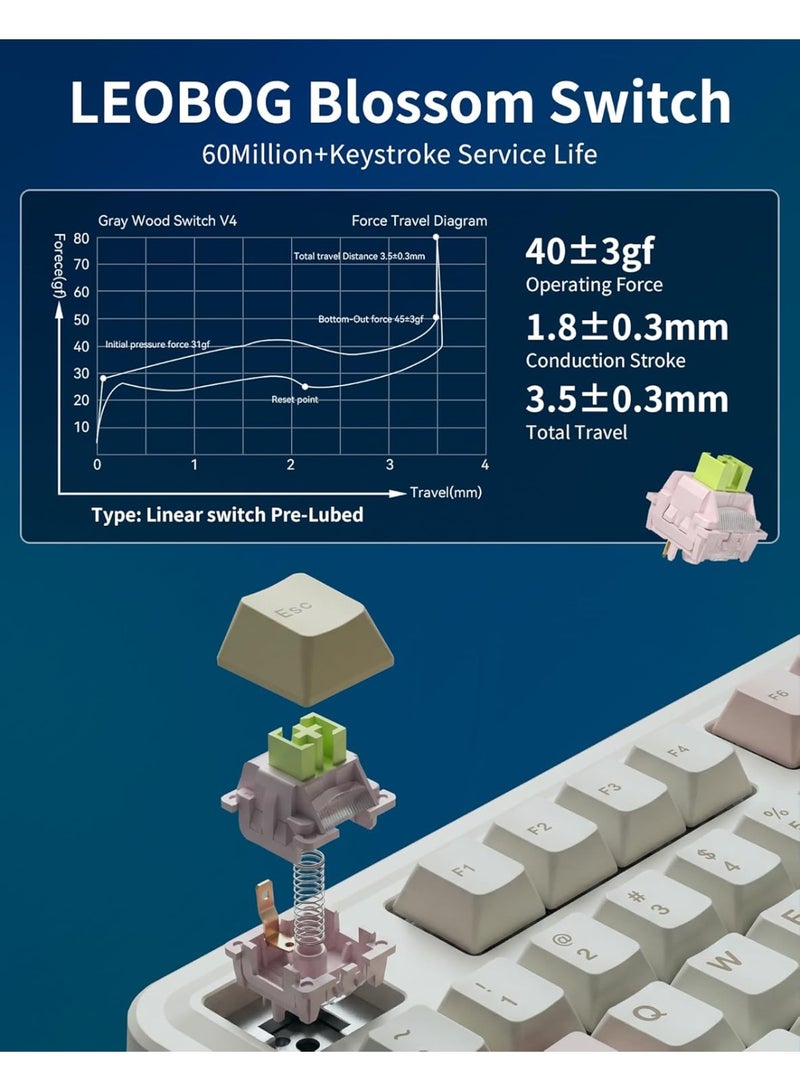 AULA لوحة مفاتيح ميكانيكية لاسلكية ثلاثية الوضع AU75 بتصميم مدمج 75% – لوحة مفاتيح للألعاب قابلة للتبديل مع مفتاح بلومفيلد، بلوتوث، 2.4GHz ووضع سلكي، إضاءة خلفية RGB للألعاب، الكمبيوتر الشخصي واستخدام المكتب - Image 3