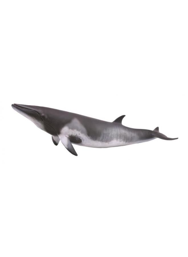 CollectA Minke Whale