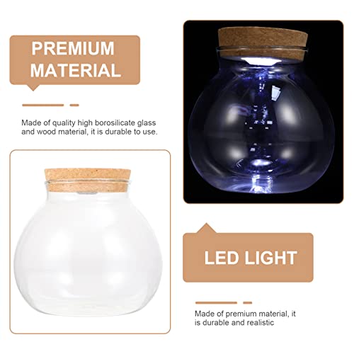 Hemobllo Ecological Fish Tank Bottle with Led Light Lid - Glass Aquarium Bowl for DIY Micro Landscape Home Decor Small Betta Fish Aquarium Transparent Terrarium Container - Image 3