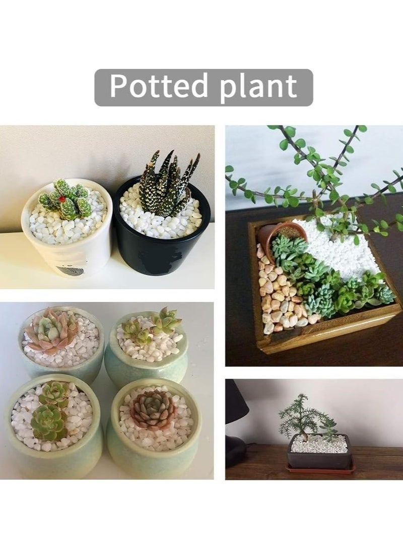 ار ار براند حصى صغيرة طبيعية مصقولة مزخرفة باللون الأبيض - 1 كجم - ناعمة من 1 إلى 2 سم للحدائق وأحواض السمك والمزهريات والحرف اليدوية وتنسيق الحدائق - Image 2