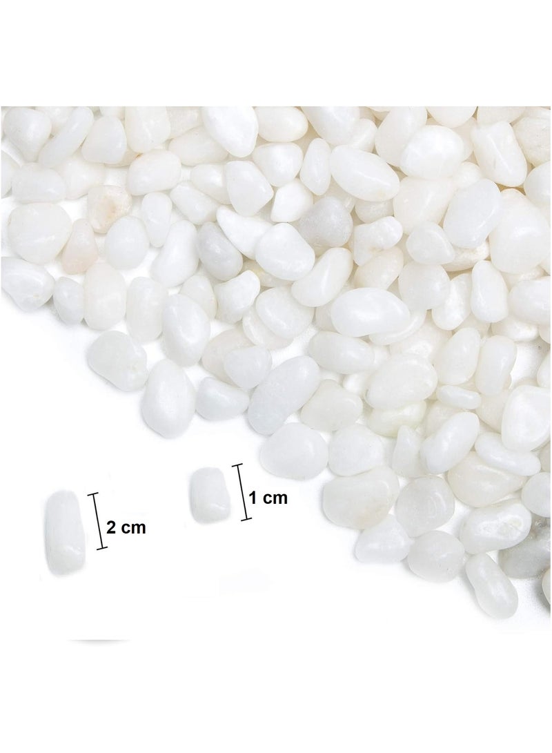 ار ار براند حصى صغيرة طبيعية مصقولة مزخرفة باللون الأبيض - 1 كجم - ناعمة من 1 إلى 2 سم للحدائق وأحواض السمك والمزهريات والحرف اليدوية وتنسيق الحدائق - Image 4