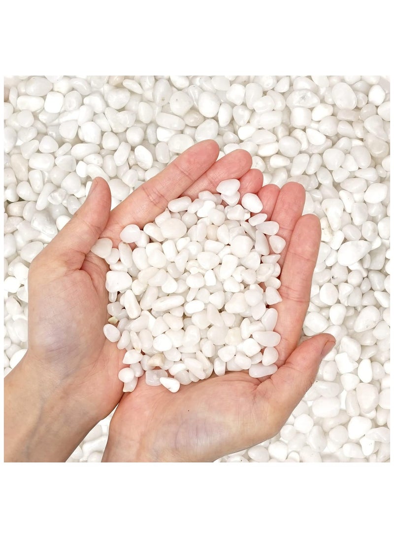 ار ار براند حصى صغيرة طبيعية مصقولة مزخرفة باللون الأبيض - 1 كجم - ناعمة من 1 إلى 2 سم للحدائق وأحواض السمك والمزهريات والحرف اليدوية وتنسيق الحدائق - Image 1