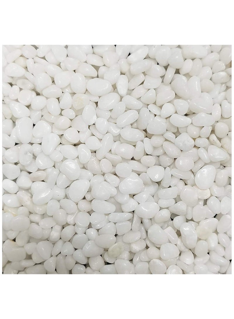 ار ار براند حصى صغيرة طبيعية مصقولة مزخرفة باللون الأبيض - 1 كجم - ناعمة من 1 إلى 2 سم للحدائق وأحواض السمك والمزهريات والحرف اليدوية وتنسيق الحدائق - Image 5