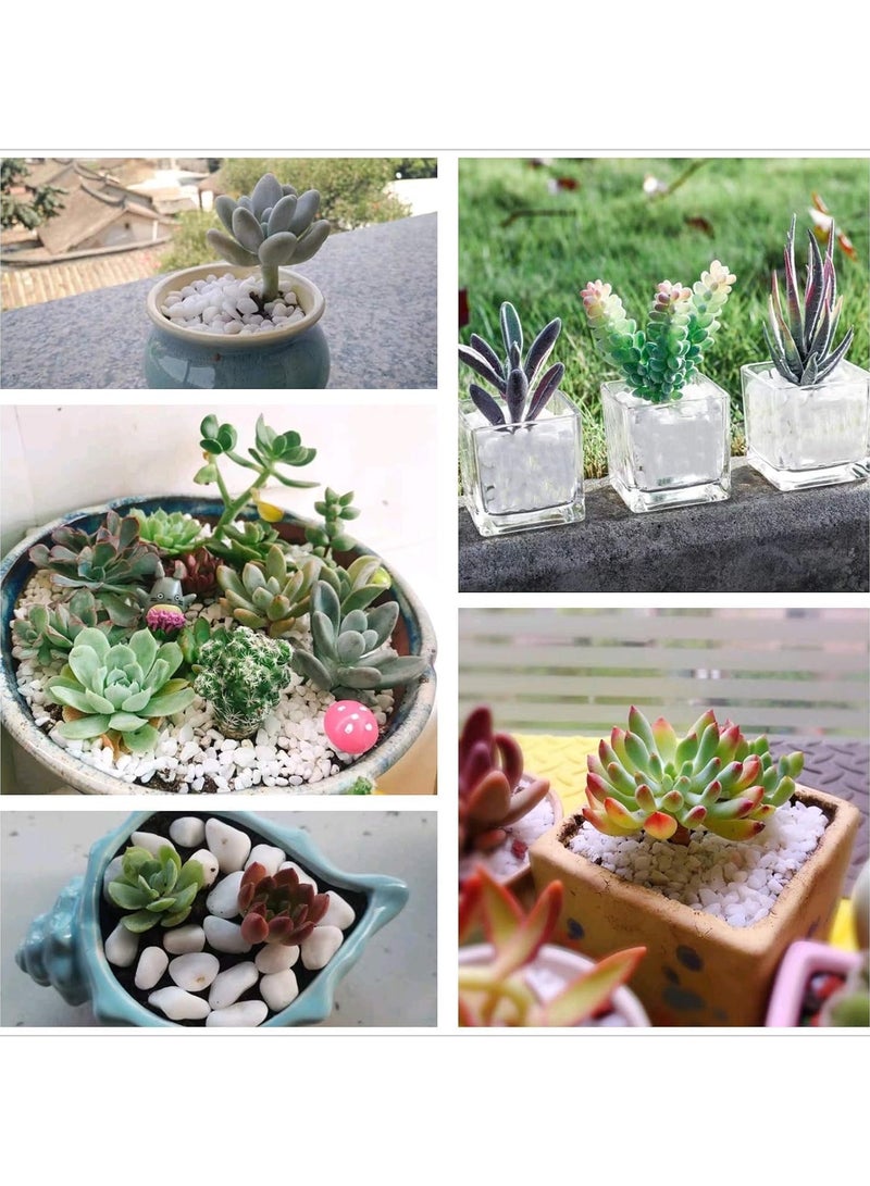 ار ار براند حصى صغيرة طبيعية مصقولة مزخرفة باللون الأبيض - 1 كجم - ناعمة من 1 إلى 2 سم للحدائق وأحواض السمك والمزهريات والحرف اليدوية وتنسيق الحدائق - Image 3