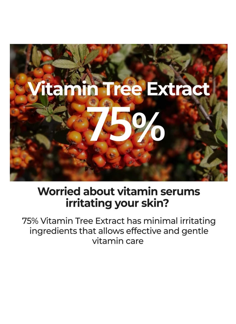 numbuzin numbuzin No.5 Goodbye Blemish Serum 50ml | Vitamin Serum, Blemish, Acne-marks, Redness  - Image 3