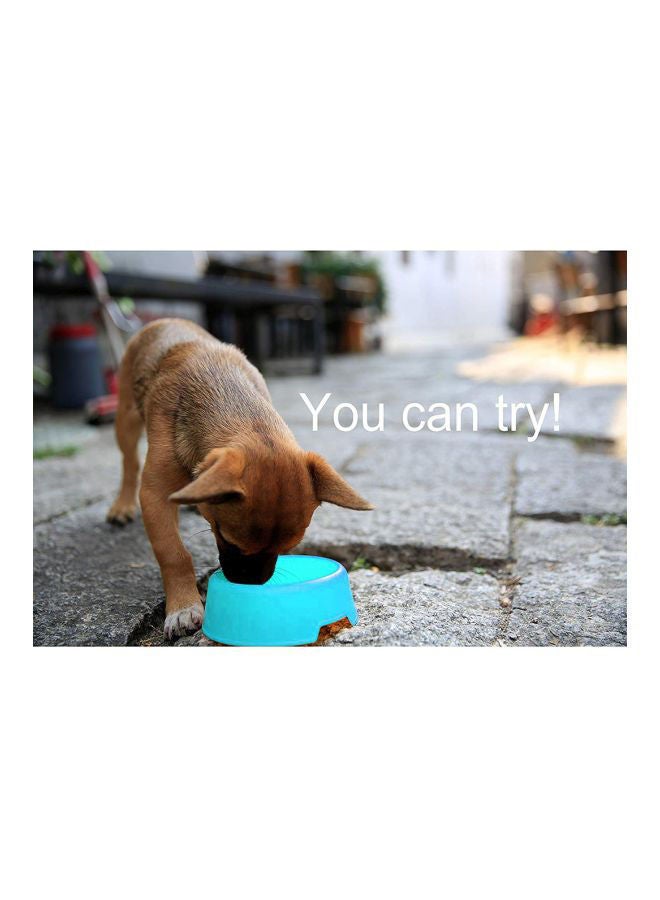 NIBEMINENT Plastic Pet Feeding Bowl Blue 10.5cm - Image 4