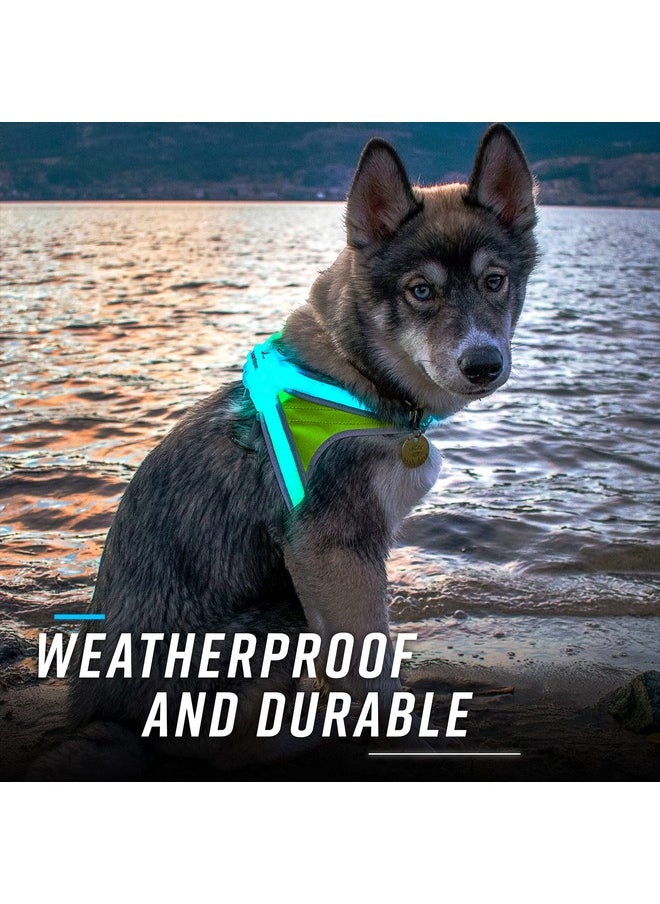 noxgear - Lighthound - Revolutionary Illuminated And Reflective Harness For Dogs Including Multicolored Led Fiber Optics (Usb Rechargeable, Adjustable, Lightweight, Rainproof) (Large) - Image 1