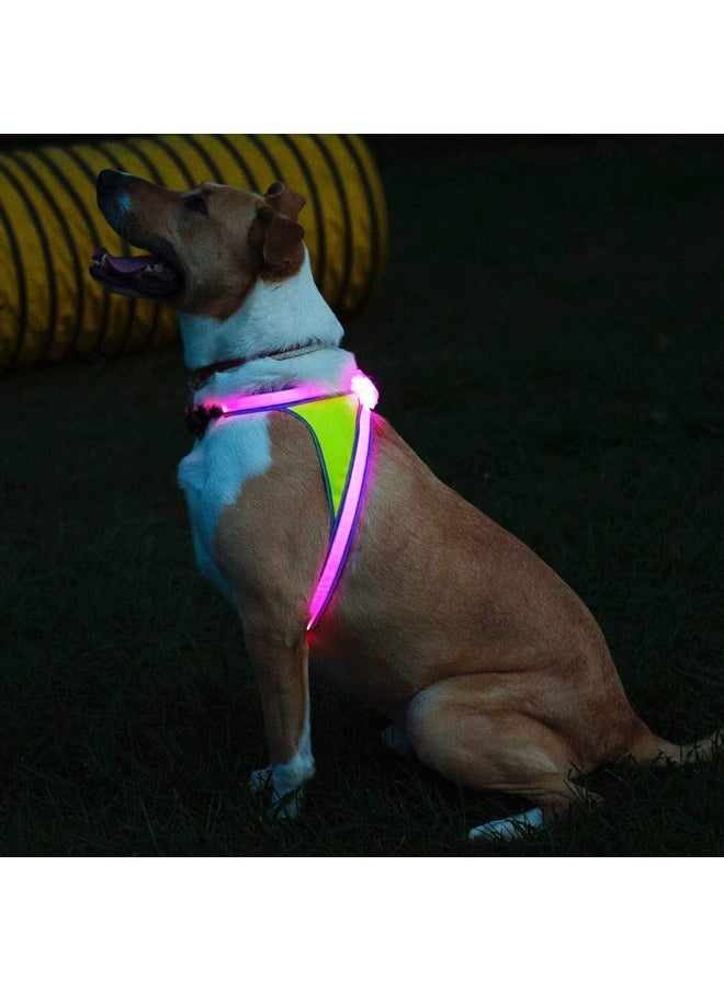 noxgear - Lighthound - Revolutionary Illuminated And Reflective Harness For Dogs Including Multicolored Led Fiber Optics (Usb Rechargeable, Adjustable, Lightweight, Rainproof) (Large) - Image 1