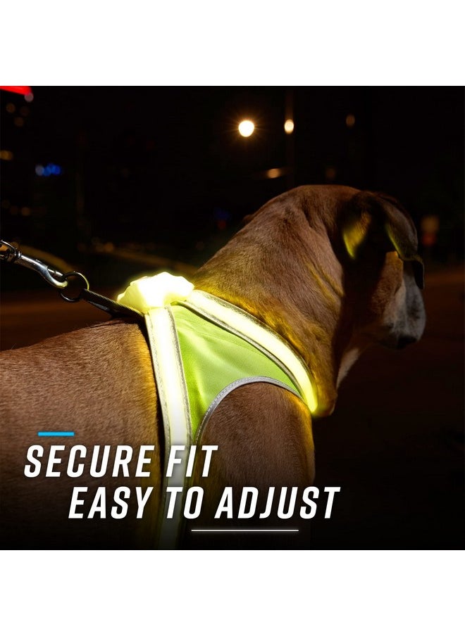 noxgear - Lighthound - Revolutionary Illuminated And Reflective Harness For Dogs Including Multicolored Led Fiber Optics (Usb Rechargeable, Adjustable, Lightweight, Rainproof) (Large) - Image 1