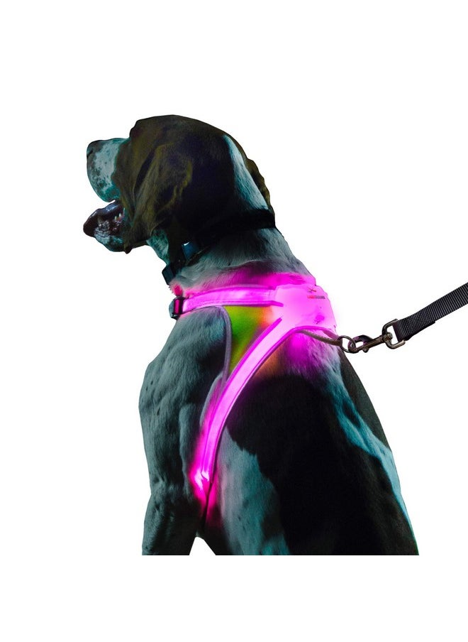 noxgear - Lighthound - Revolutionary Illuminated And Reflective Harness For Dogs Including Multicolored Led Fiber Optics (Usb Rechargeable, Adjustable, Lightweight, Rainproof) (Large) - Image 1