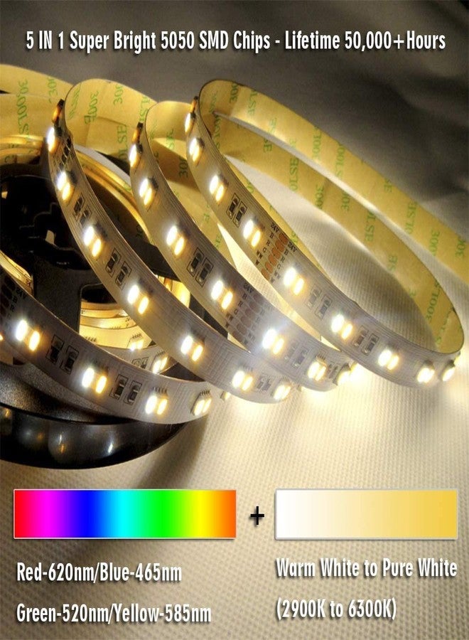 Protium 12V RGB/CW/WW Light Strip, 5050 (5 in 1) SMD, 60LED/m, 5 Meter (NO Controller & NO Power Supply) PRMS060P51 - Image 2