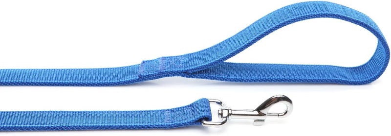 Taida Strong Nylon Dog Leash with 2-Layer, 4 FT/ 6 FT/ 7FT Long, 1 Inch Wide for Medium Large Dogs (Blue, 1'' x 2 FT) - Image 3