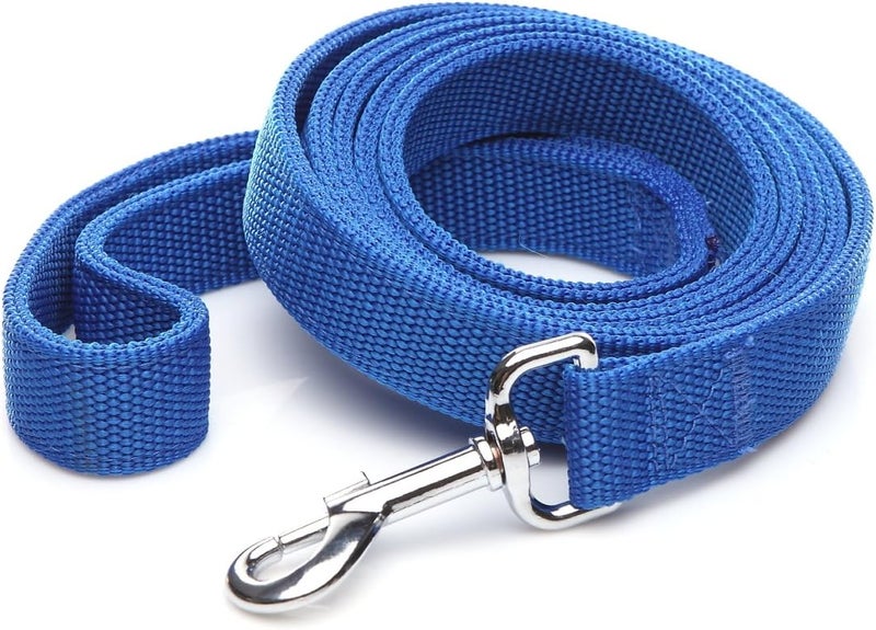 Taida Strong Nylon Dog Leash with 2-Layer, 4 FT/ 6 FT/ 7FT Long, 1 Inch Wide for Medium Large Dogs (Blue, 1'' x 2 FT) - Image 1