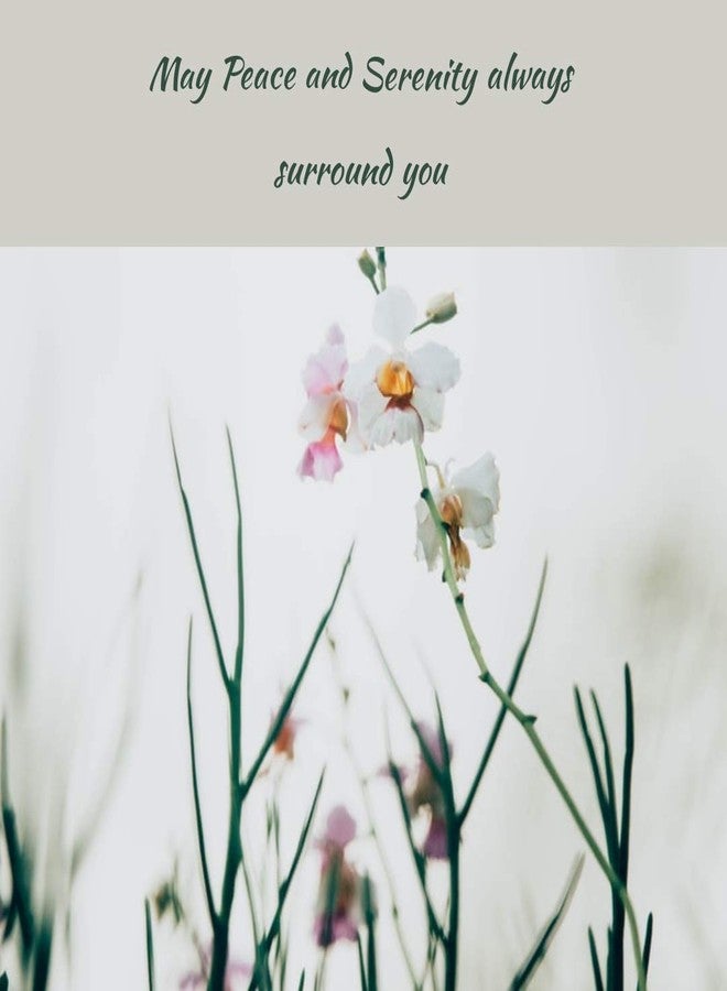 جرين وود إيسينشال زيت الكشمش الأسود النقي من غرينوود إسينشال (Ribes nigrum) | معصور على البارد | طبيعي | غير مخفف | لتخفيف الزيوت العطرية | للبشرة والتدليك | للرجال والنساء | 200 مل - Image 4