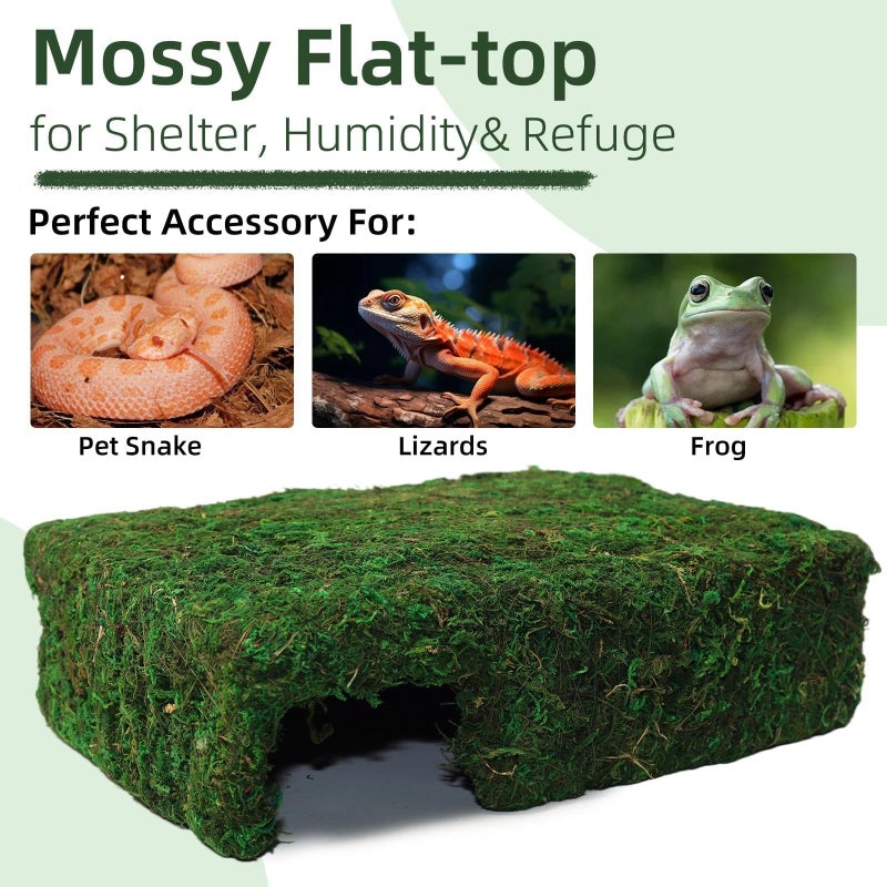 Hollima Mossy Cave Hide for Reptiles, Lizard Moss Hideout with Safe Shelter, Snake Cave Hut for Themed Terrarium Ideal for Gecko Hamster Snake to Rest & Hide - Image 5