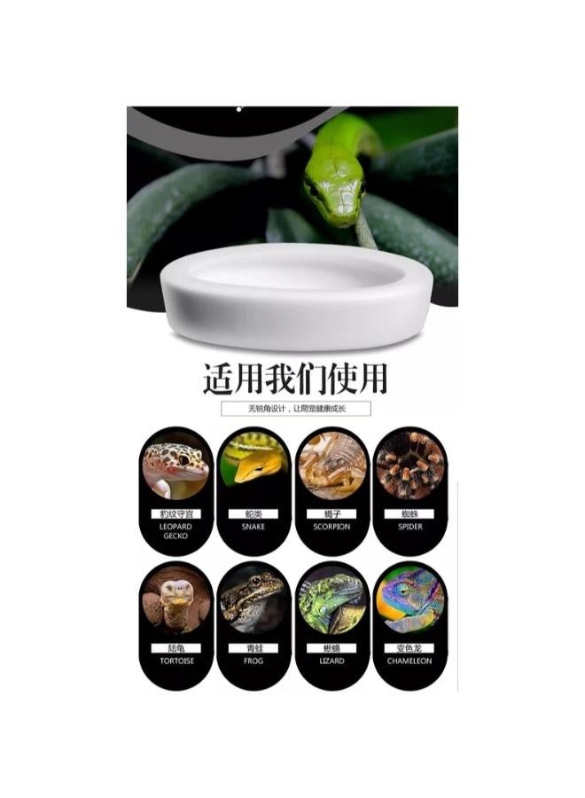 NomoyPet وعاء طعام الزواحف من السيراميك الأبيض المضاد للهروب من NOMOY PET NFF-49 - Image 3