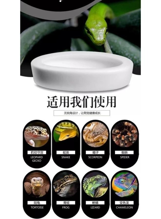 NomoyPet وعاء طعام الزواحف من السيراميك الأبيض المضاد للهروب من NOMOY PET NFF-49 - Image 4