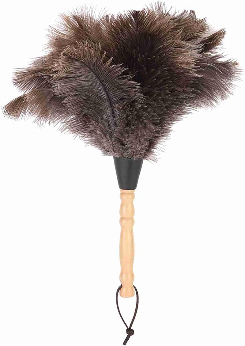Ejoyous Feathers Duster, 13.4in Anti Static Feathers Duster with Wood Handle Reusable, Eco-Friendly Handheld Dust Removal Cleaning Tool for Keyboard Home Car Office - Image 1