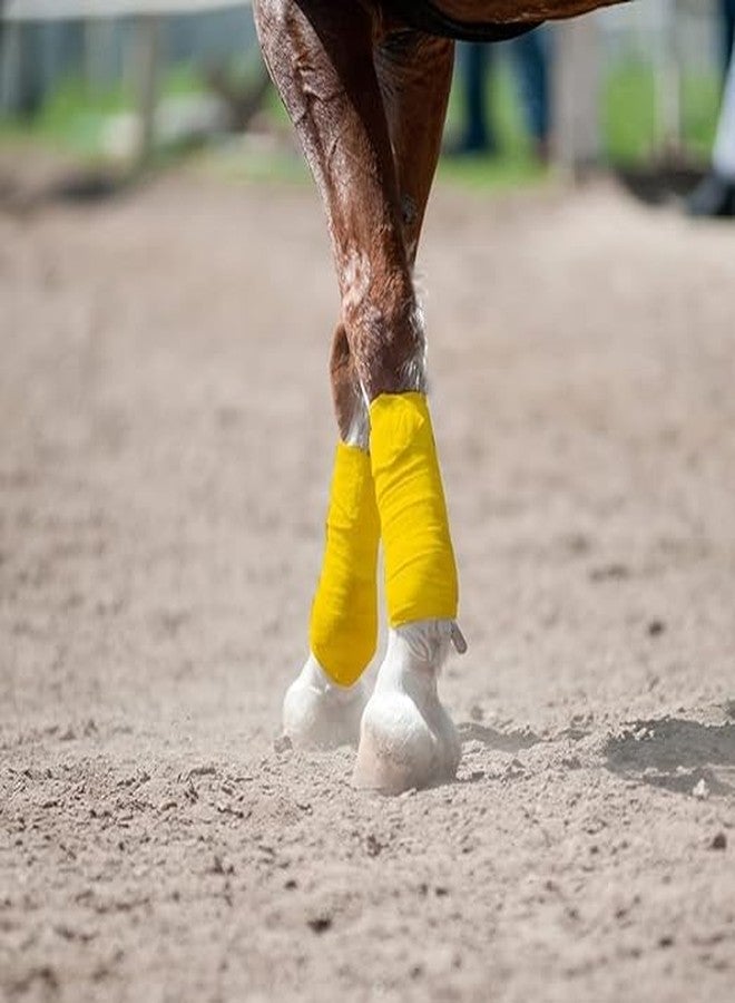 BLESSING PET SUPPLY Blessing Pack of 4 pcs Horse Polo Bandage White (Yellow) - Image 2