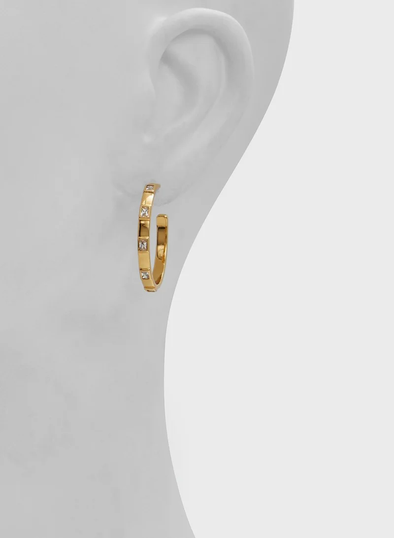 ALDO Abbiline Hoop Earrings