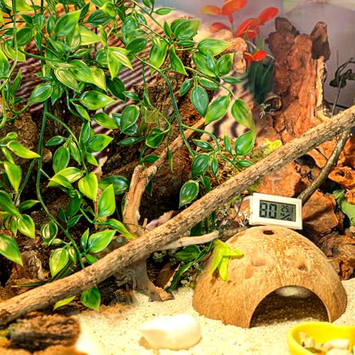 HERCOCCI Reptile Plants, 2 Pack Terrarium Hanging Plants Vines Artificial Leaves Habitat Decorations with Suction Cup for Bearded Dragon Hermit Crab Lizard Snake Geckos Chameleon - Image 4