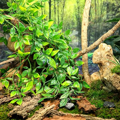 HERCOCCI Reptile Plants, 2 Pack Terrarium Hanging Plants Vines Artificial Leaves Habitat Decorations with Suction Cup for Bearded Dragon Hermit Crab Lizard Snake Geckos Chameleon - Image 3