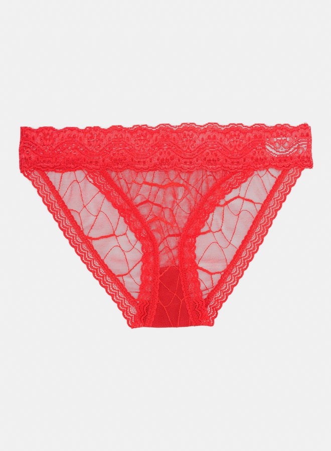 Carina Essential Lace Bikini Panty - Image 1