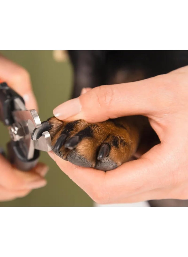 مجموعة أدوات للكلاب والقطط، مجموعة تقليم أظافر الكلاب مع مبرد أظافر، مجموعة قص أظافر القطط، قصافة أظافر للكلاب والقطط مع واقي أمان - Image 2