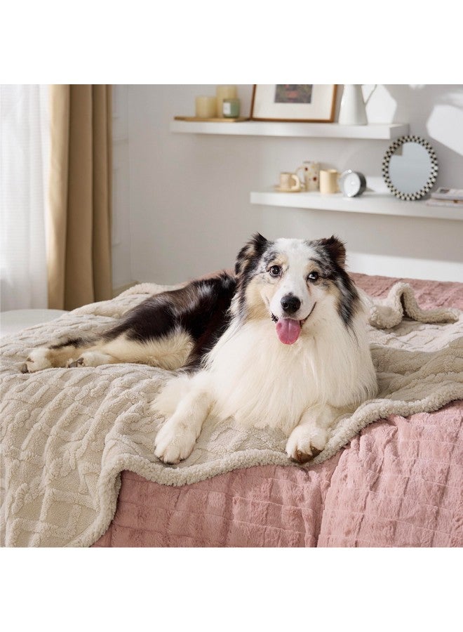 Bedsure Waterproof Dog Blankets for Large Dogs - Pet Blanket for Couch Protector Washable, Premium Jacquard Coral Fleece Cat Throw Blanket, Soft Plush Reversible Furniture Protection, 50"x60", Cream - Image 1
