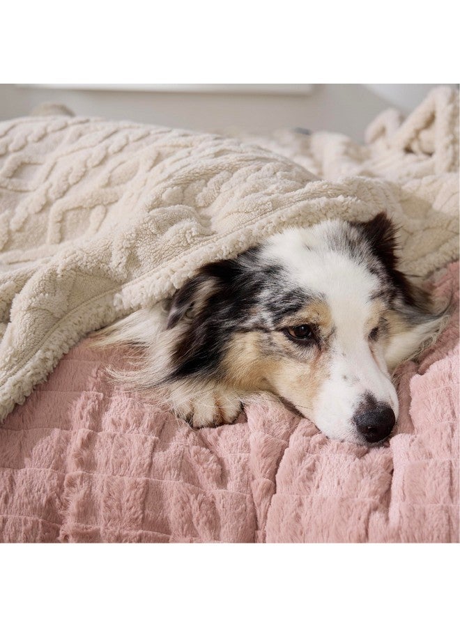 Bedsure Waterproof Dog Blankets for Large Dogs - Pet Blanket for Couch Protector Washable, Premium Jacquard Coral Fleece Cat Throw Blanket, Soft Plush Reversible Furniture Protection, 50"x60", Cream - Image 5