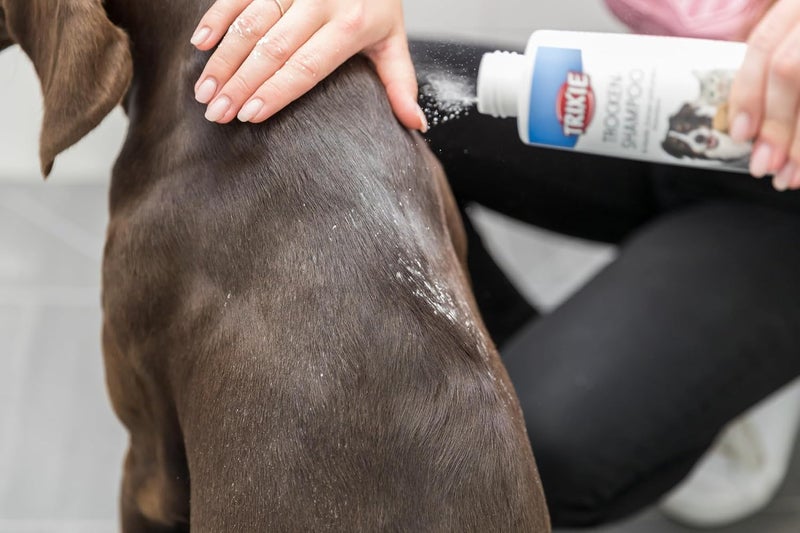 Trixie Dry Shampoo for Pets 100g - Image 3
