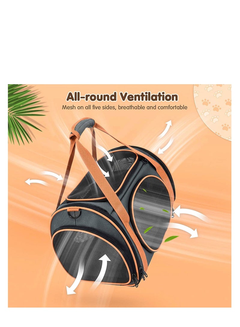 HEXAR Pet Carrier with Ventilation for Small Medium Cats Dogs Puppies, Dog Carrier with Big Space, 5 Mesh Windows, 4 Open Doors for Comfortable Travelling and Outing - Image 5