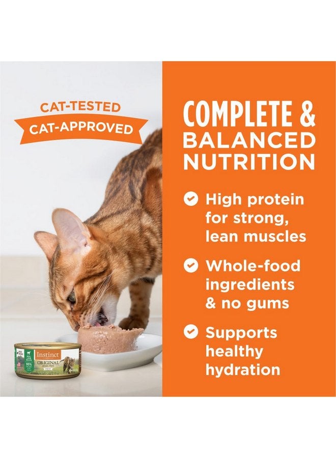 غريزة طعام القطط المعلب الطبيعي الرطب الأصلي من Instinct، خالي من الحبوب، بنكهة لحم الضأن الحقيقي، من Nature's Variety، 5.5 أونصة (عبوة من 12 قطعة) - Image 5