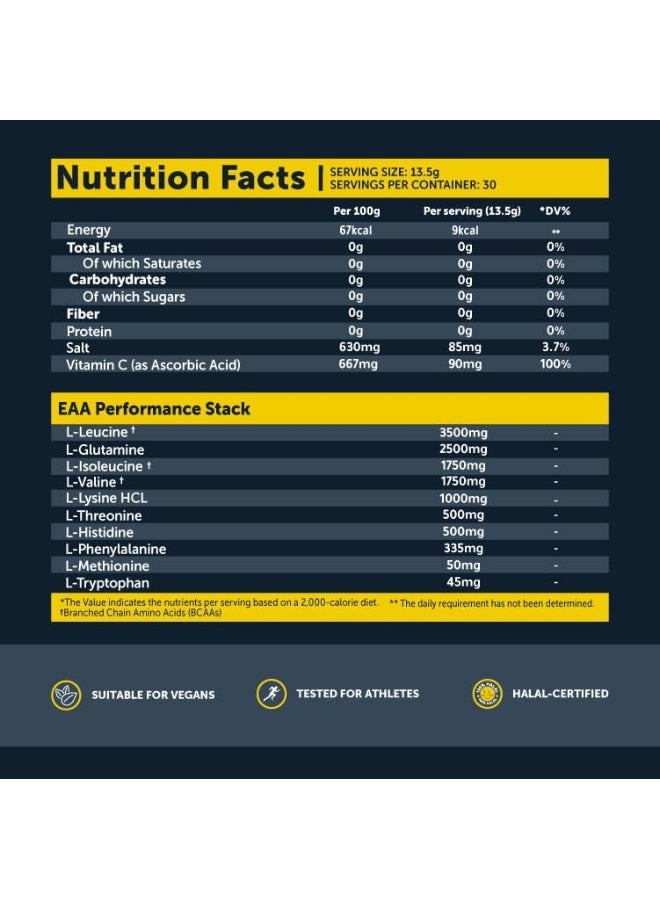 Basix Complete 10 30 Servings Juicy Watermelon 405 G - Image 2