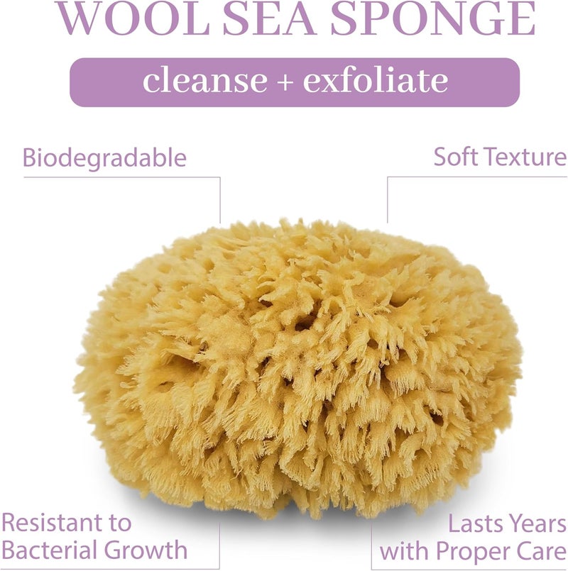 Baudelaire Natural Sea Wool Sponge 4.5" - Image 2