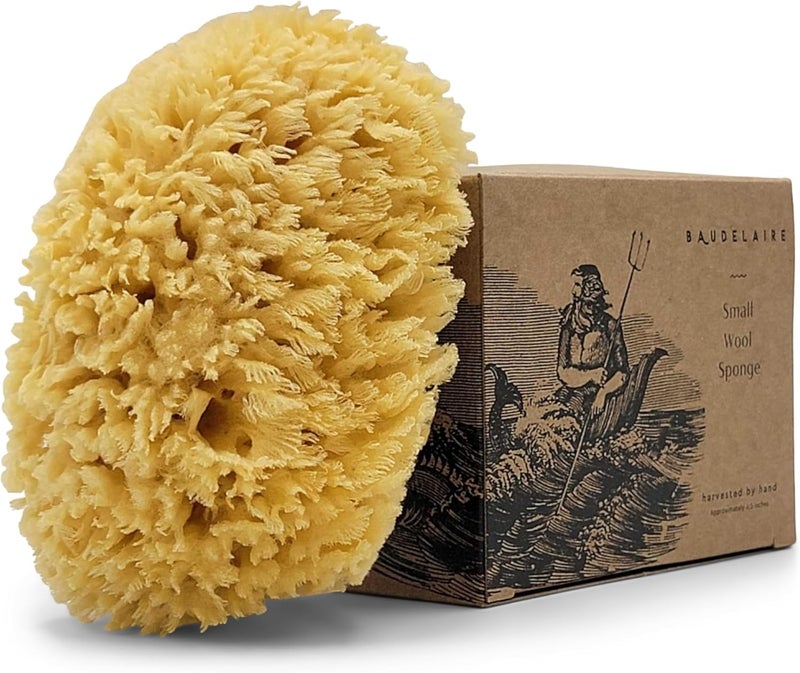 Baudelaire Natural Sea Wool Sponge 4.5" - Image 1