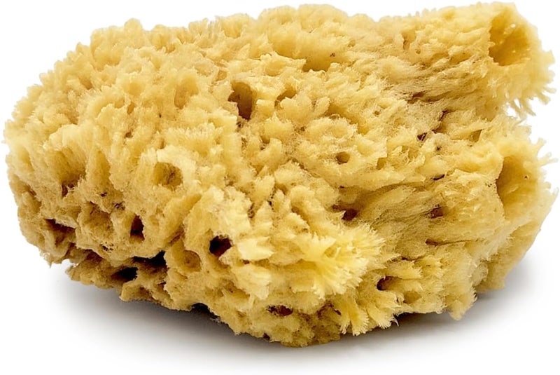 Baudelaire Natural Sea Wool Sponge 4.5" - Image 5