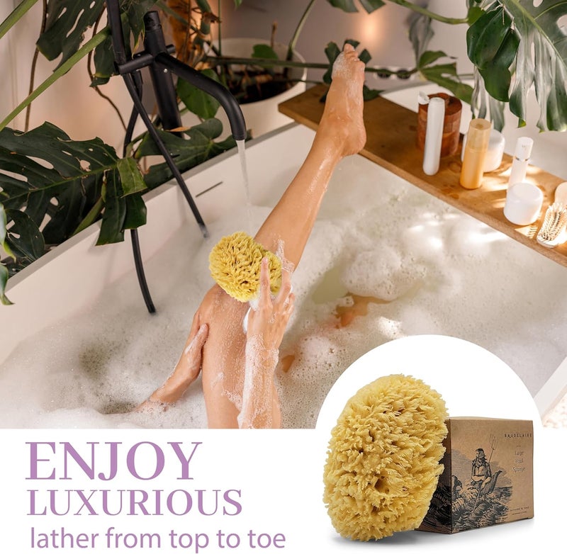 Baudelaire Natural Sea Wool Sponge 4.5" - Image 3