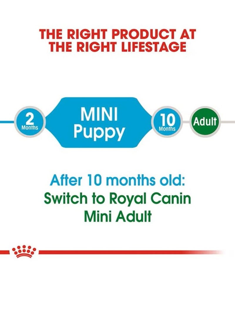 Royal Canin Mini Puppy 8kg Dry Dog Food - Size Health Nutrition - Image 5