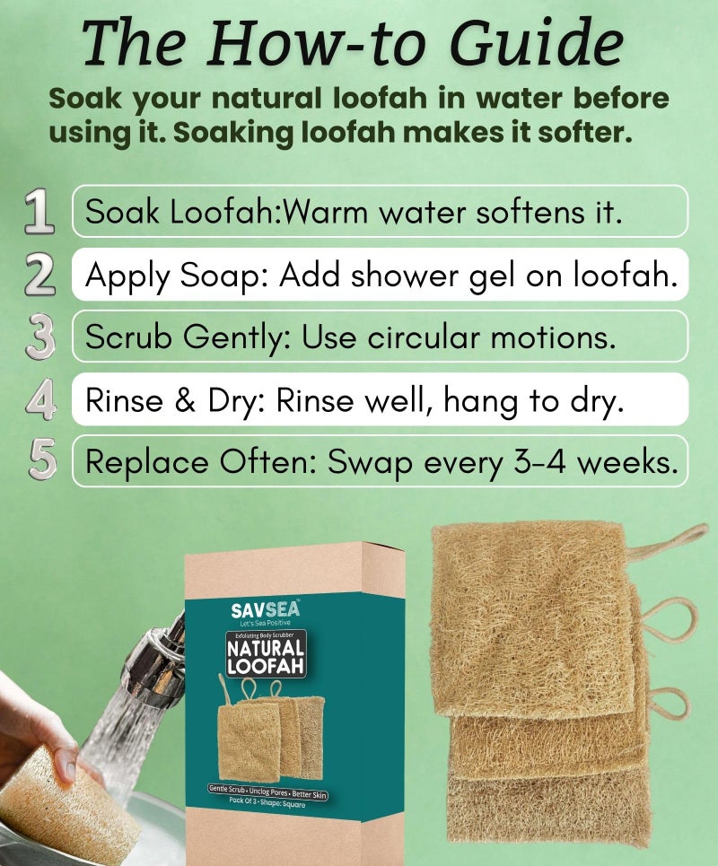 SAVSEA Natural Loofah for Bathing: Unisex Loofah for Women and Men, Also Perfect for Kids | Square Shaped Natural Loofah | Pack of 3 - Image 4