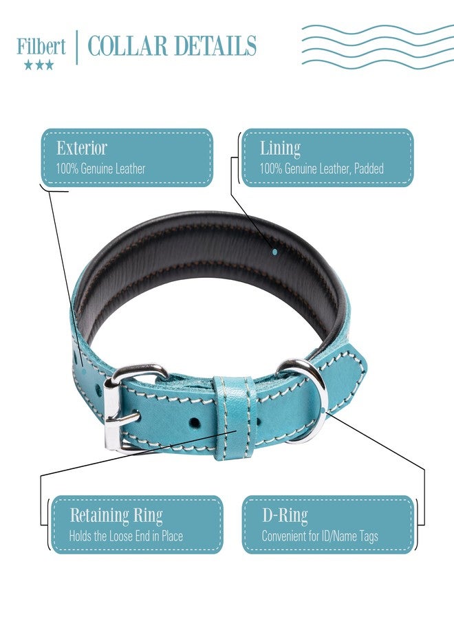 Filbert Leather Dog Collar, Genuine Leather Collar for Large Dogs, Premium, Luxury Padded, Strong, Adjustable for All Breeds, Heavy Metal Buckle, Ultra-Durable, Blue - Image 4