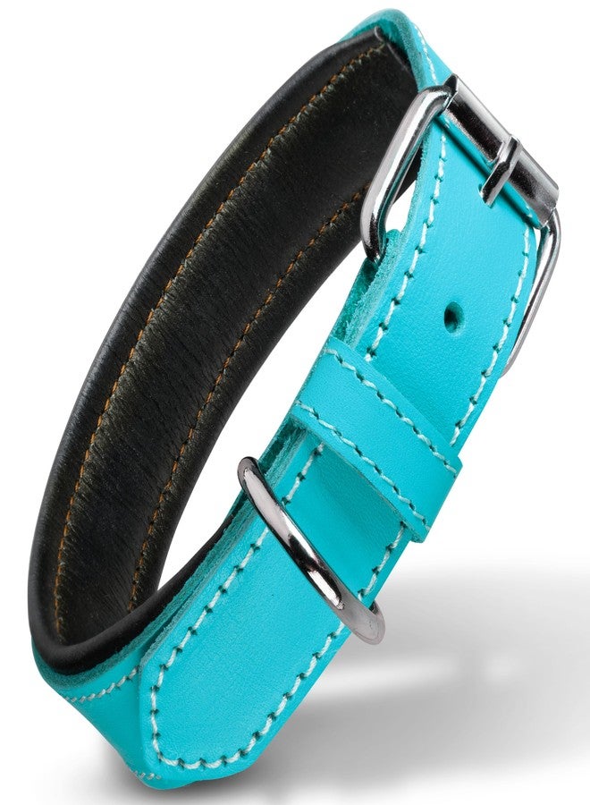 Filbert Leather Dog Collar, Genuine Leather Collar for Large Dogs, Premium, Luxury Padded, Strong, Adjustable for All Breeds, Heavy Metal Buckle, Ultra-Durable, Blue - Image 1