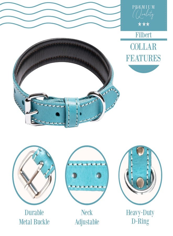 Filbert Leather Dog Collar, Genuine Leather Collar for Large Dogs, Premium, Luxury Padded, Strong, Adjustable for All Breeds, Heavy Metal Buckle, Ultra-Durable, Blue - Image 5
