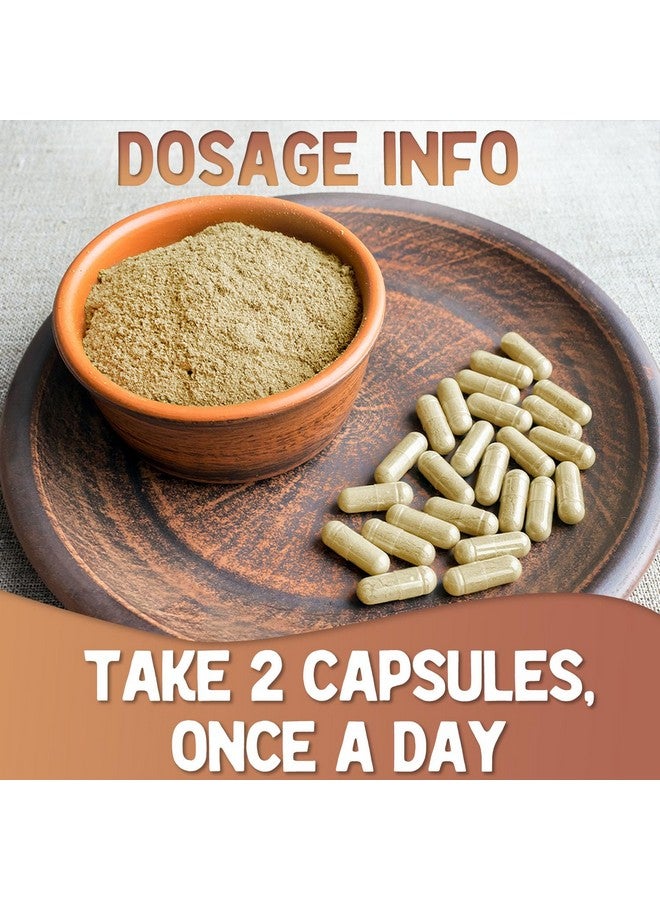 XPRS Nutra Organic Lions Mane Supplement Capsules - 180 Count (90 Day Supply) of Premium Lion's Mane Mushroom Capsules for Mental Clarity, Cognition and Immunity Lions Mane Powder Capsules - Image 5