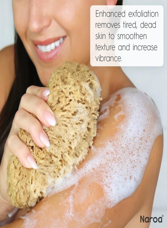 Naroa Exfoliating Natural Sponge for Shower | Bath Sea Loofah for Healthy Skin | Unbleached Bathing Body Scrubber Puff | Sustainable Plastic Free (Small) - Image 4